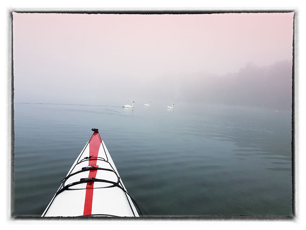 Bodensee bei Nebel